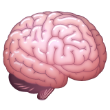 WhatsApp brain