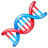 WhatsApp dna