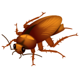 WhatsApp cockroach