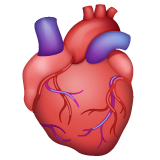 WhatsApp anatomical heart