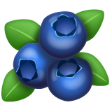 WhatsApp blueberries